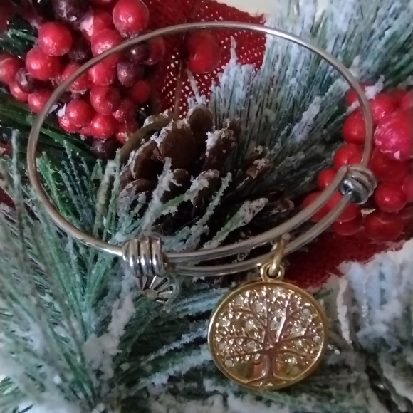 Tree Of Life Charm Bangle Adjustable Two Tone Bracelet - Picture 10 of 15